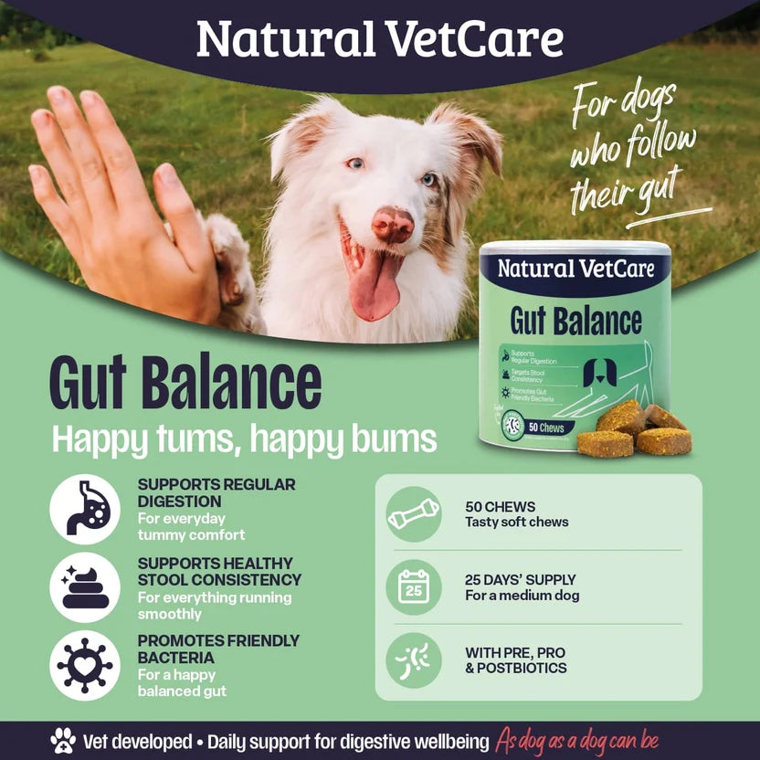 Natural VetCare Gut Balance