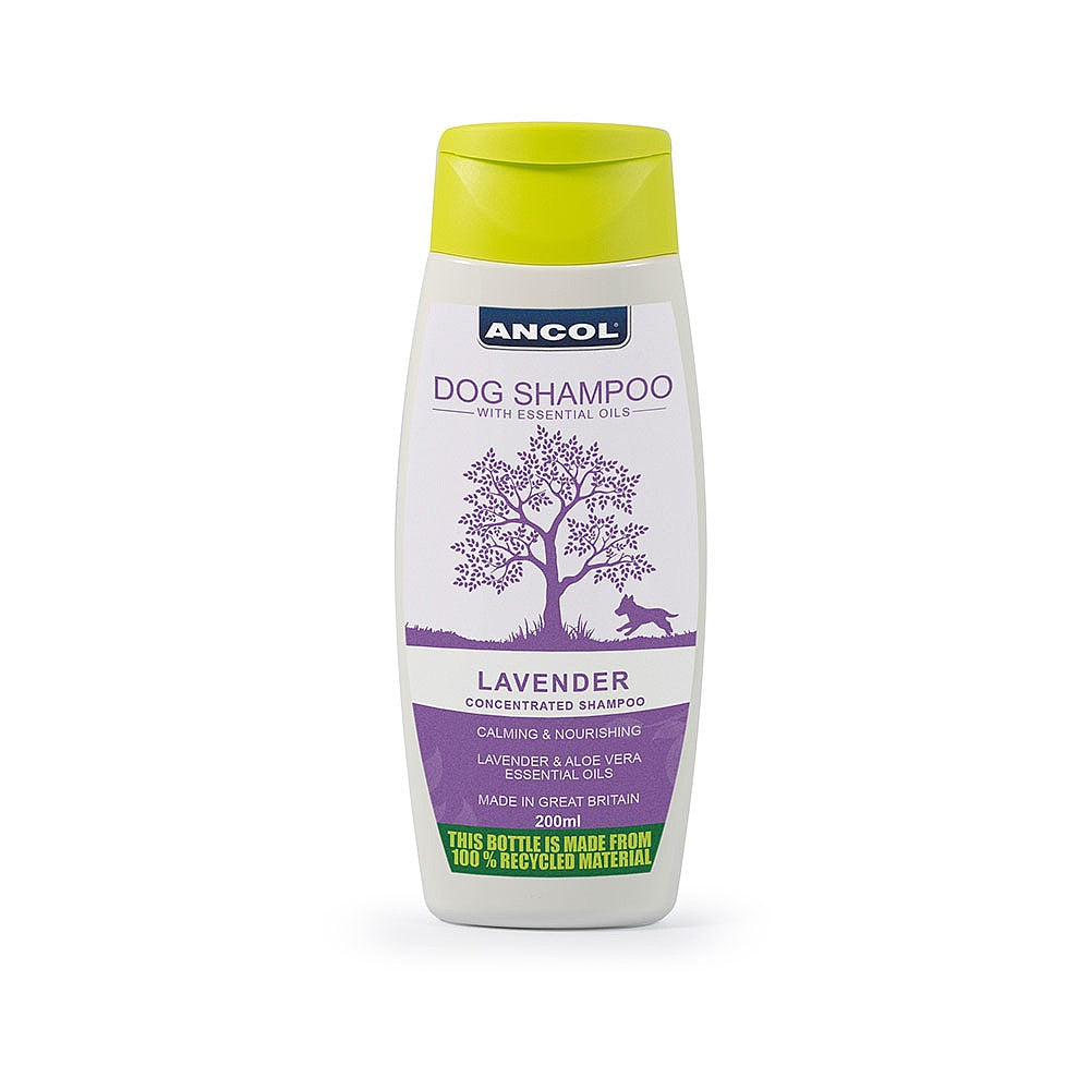 Ancol Lavender Dog Shampoo