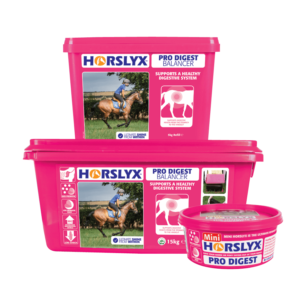 Horslyx Pro Digest