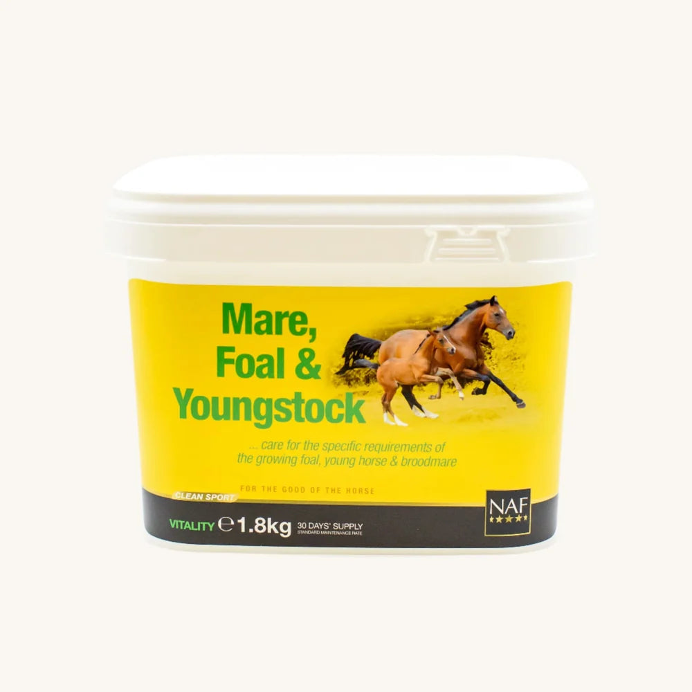 NAF Mare, Foal & Youngstock