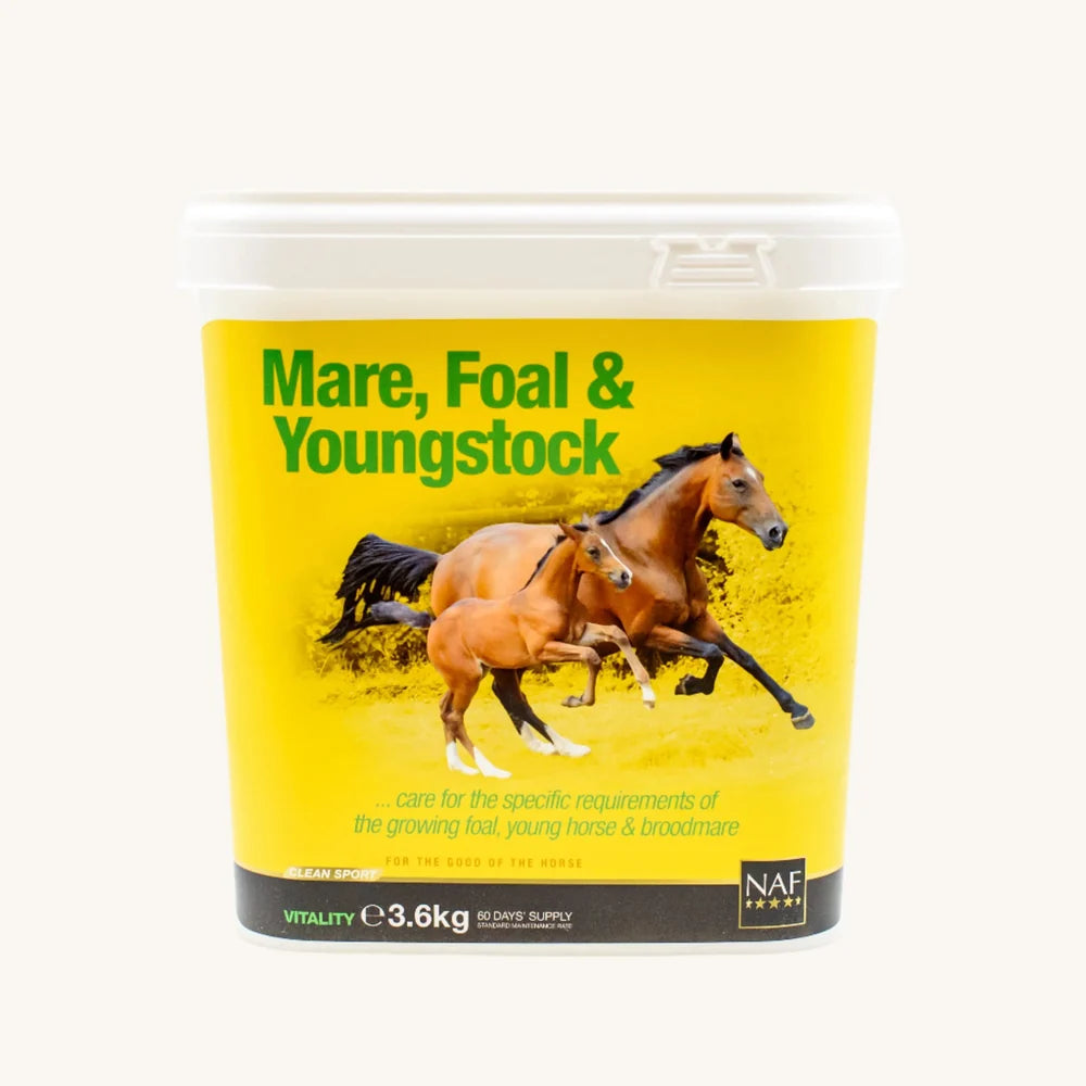 NAF Mare, Foal & Youngstock