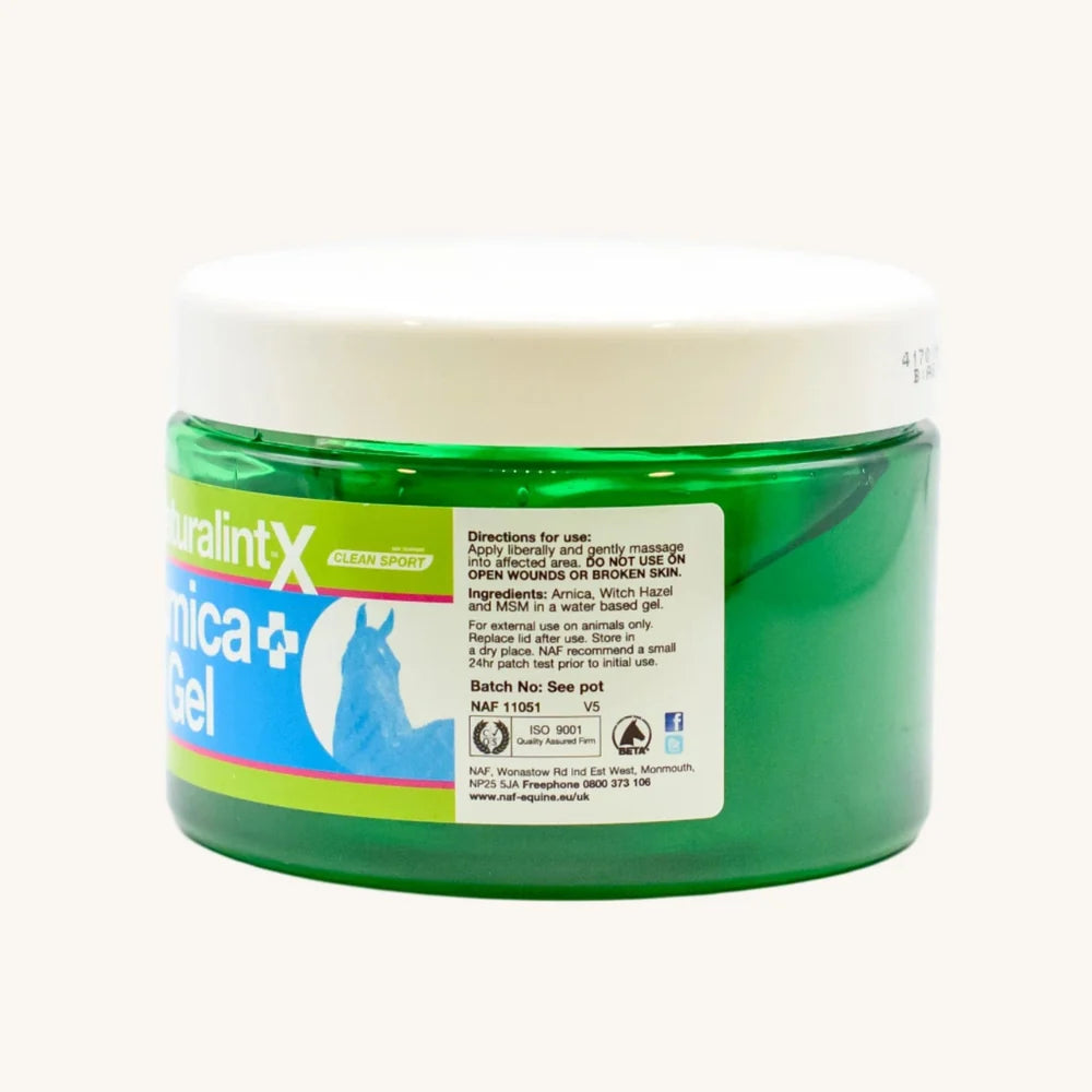 Naturalintx Arnica Gel