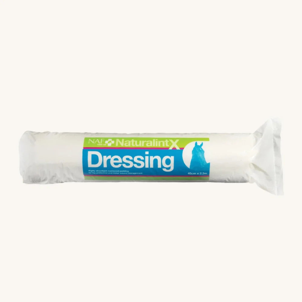 NaturalintX Dressing