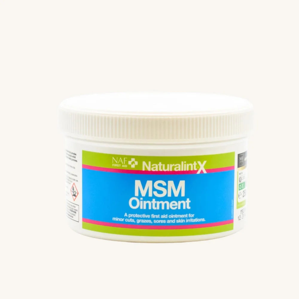 Naturalintx MSM Ointment